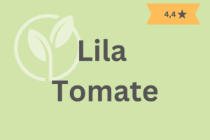 Lila Tomate